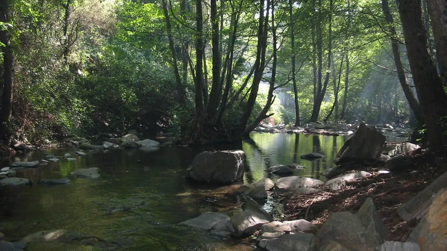 Montseny Natural Park