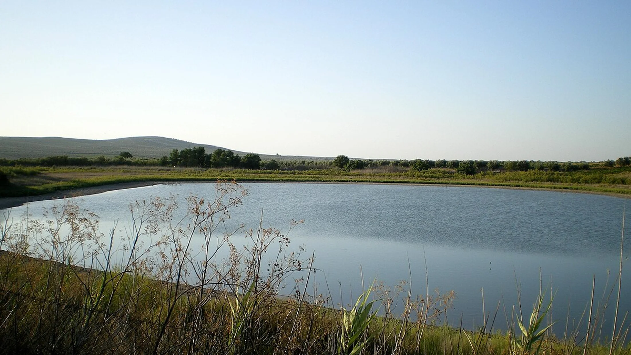 Aguilar de la Frontera