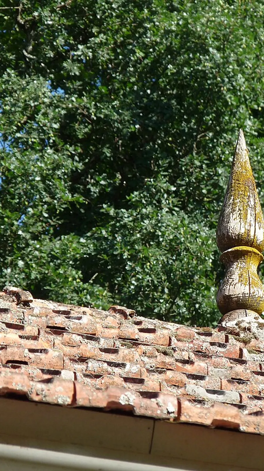 Therme von Carballiño