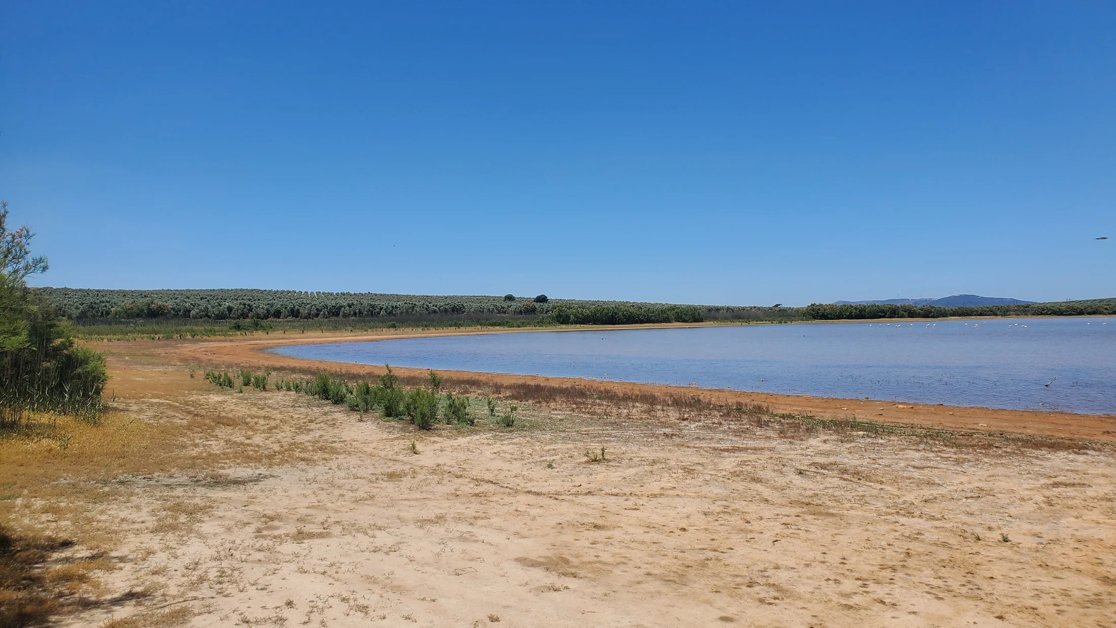 Imagen de Región: cmcnc9ttp0hjlzr5pm73wqsqx