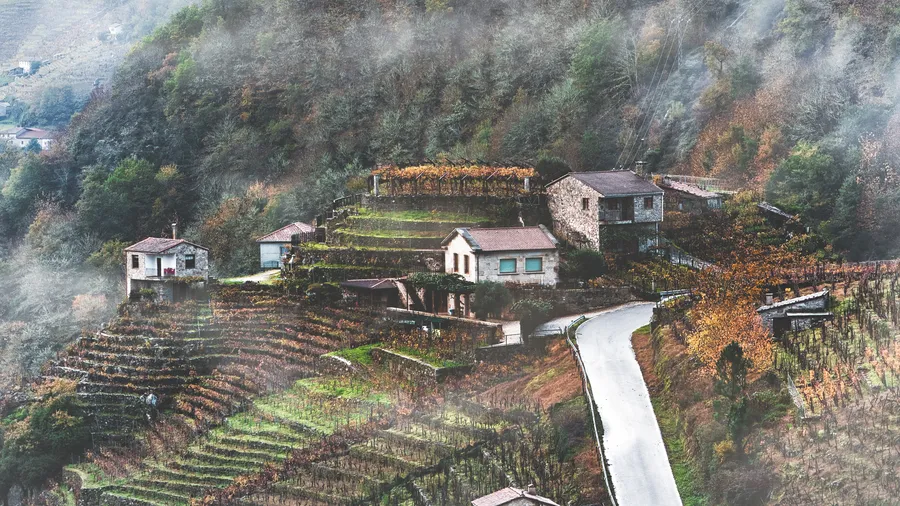 Ribeira Sacra