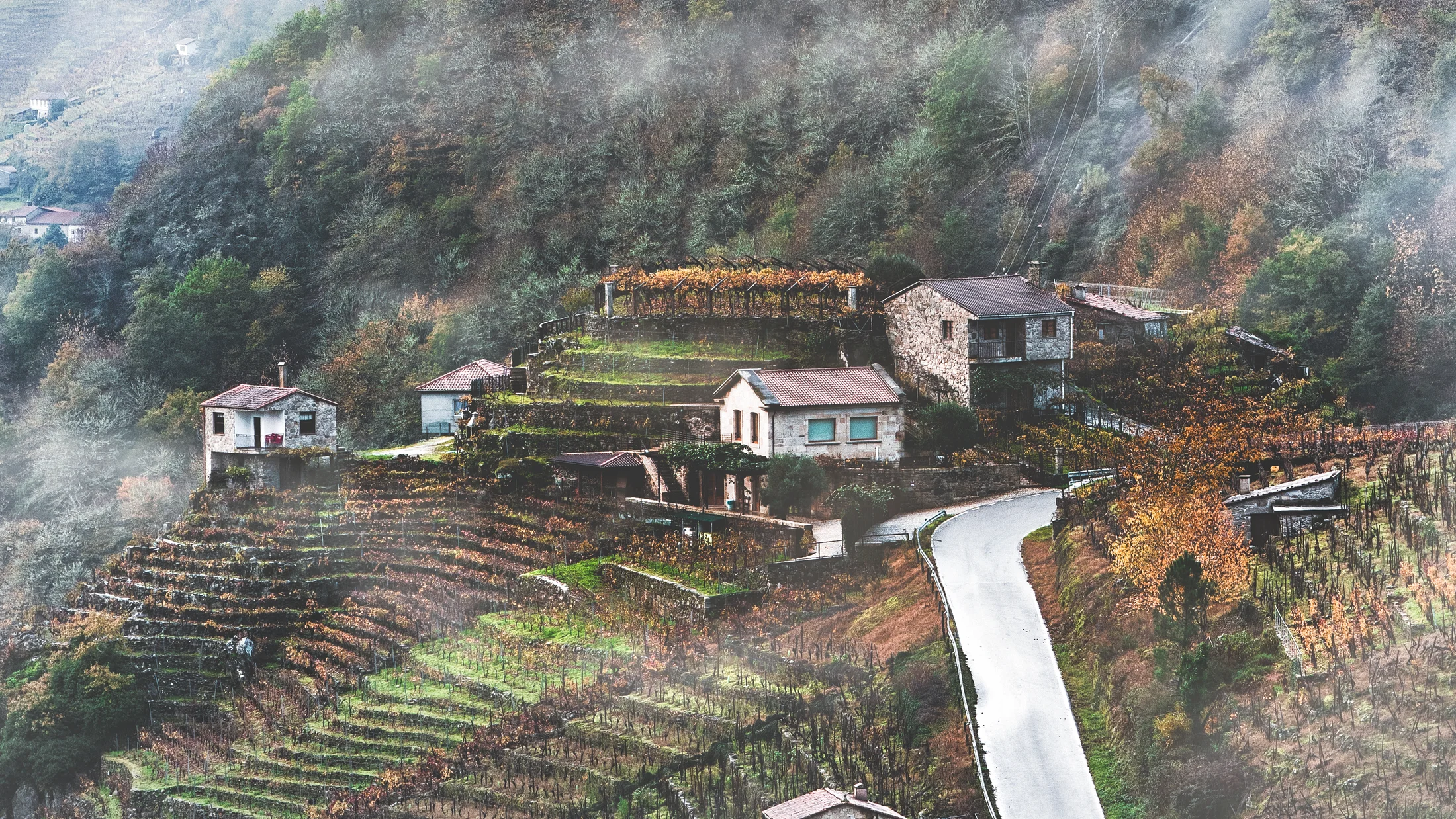 Imagen de Región: cmcnc9b560hflzr5pz2cdcgt4