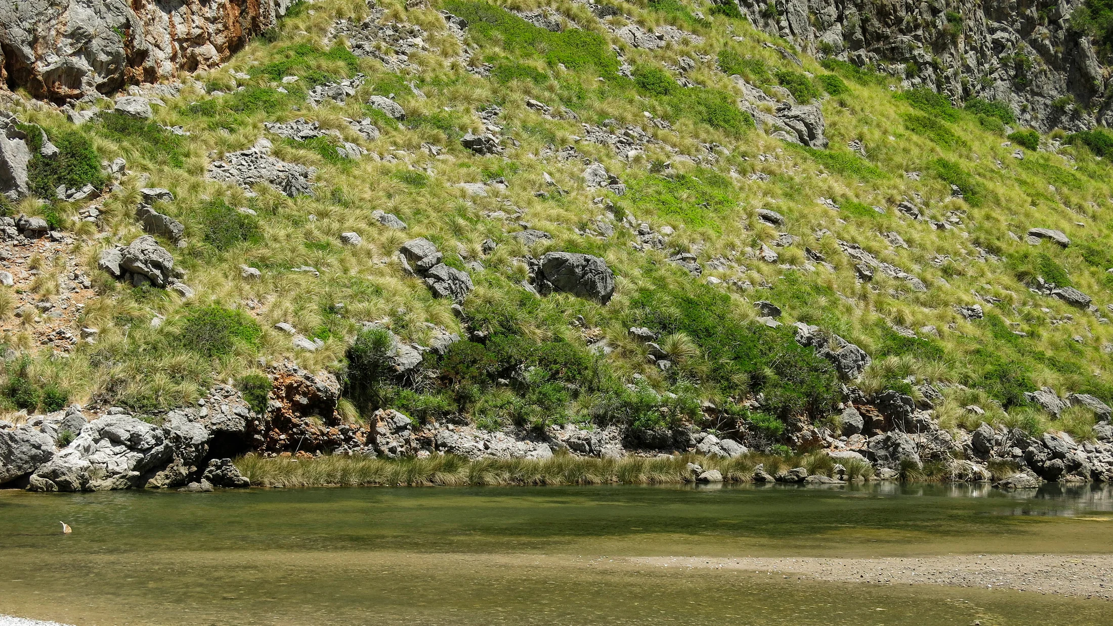 Imagen de Región: cmcncq1do0hyjzr5pwe8ek00r