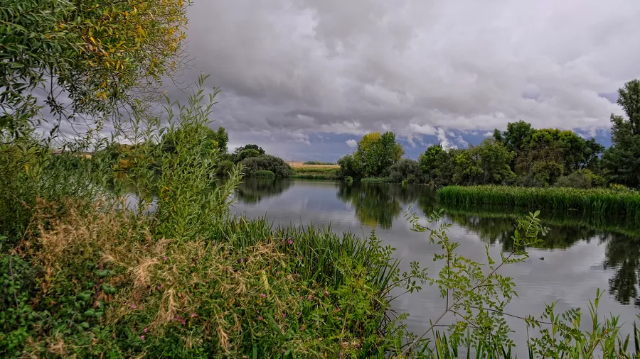 Retiro ecuestre en Salamanca