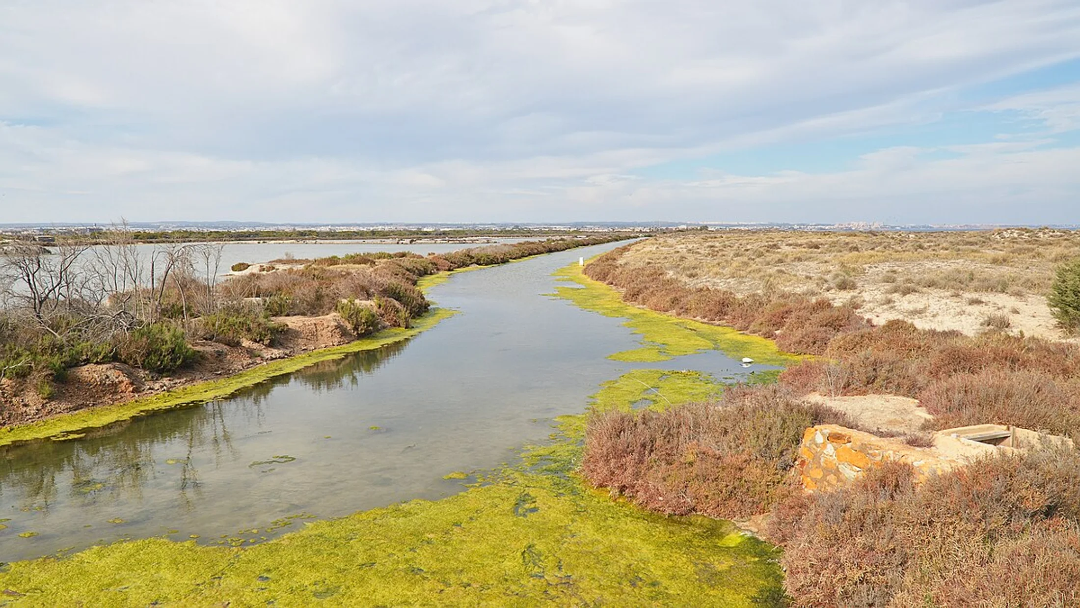 San Pedro del Pinatar