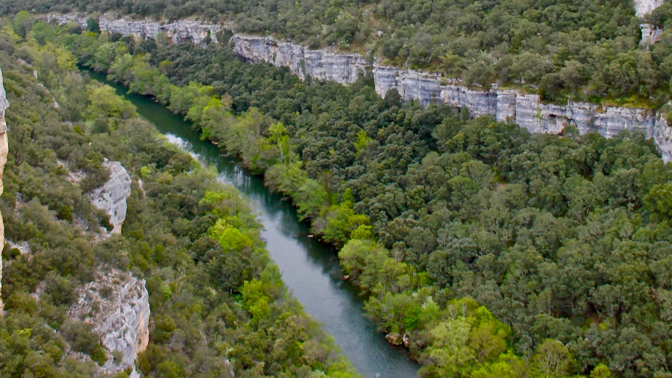 Imagen de Región: cmcncpsdl0hv3zr5pjwj8t2lb