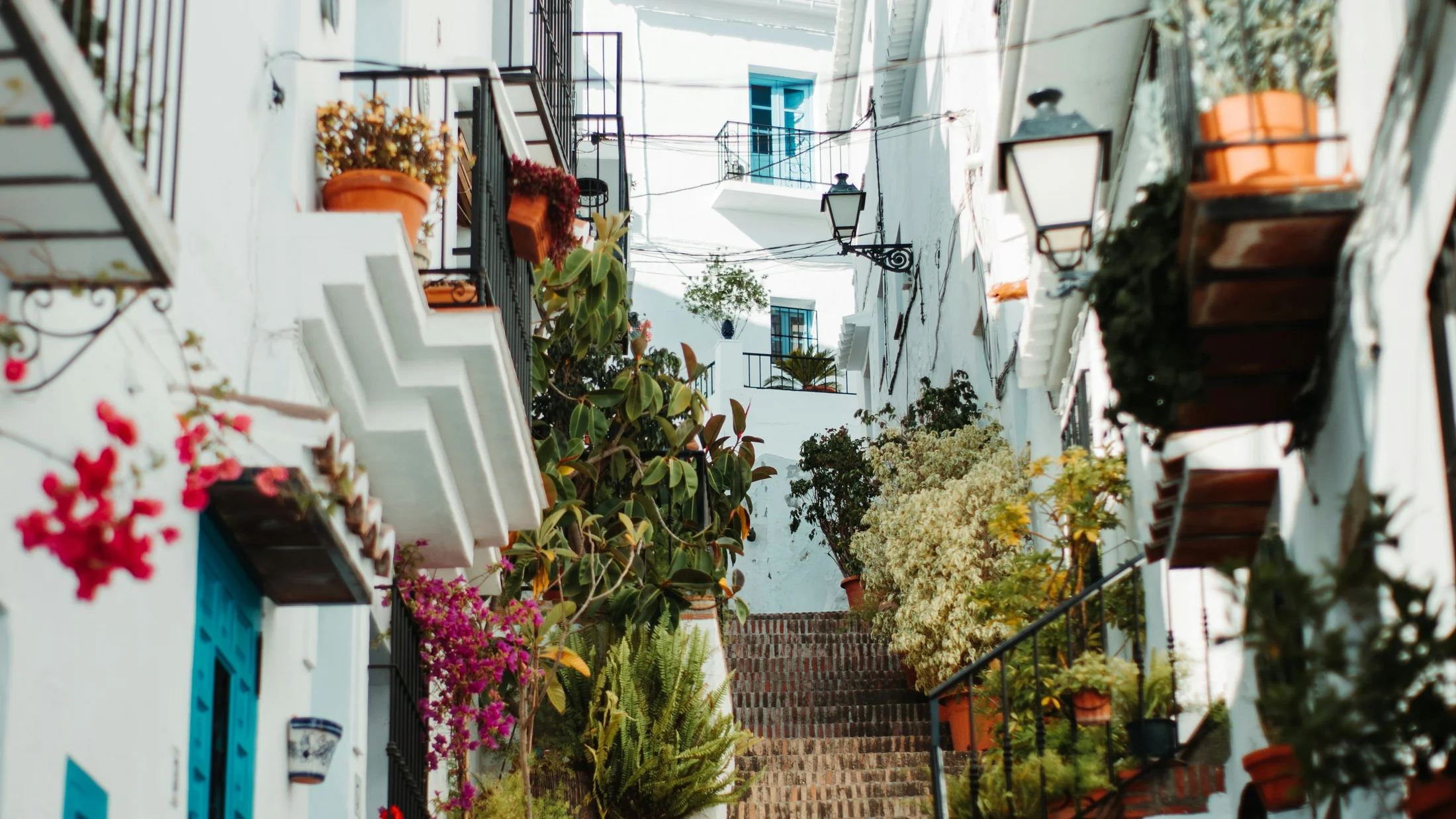 Imagen de Artículo de Blog: cmgz6fcqz005d9i0udw4c83ae