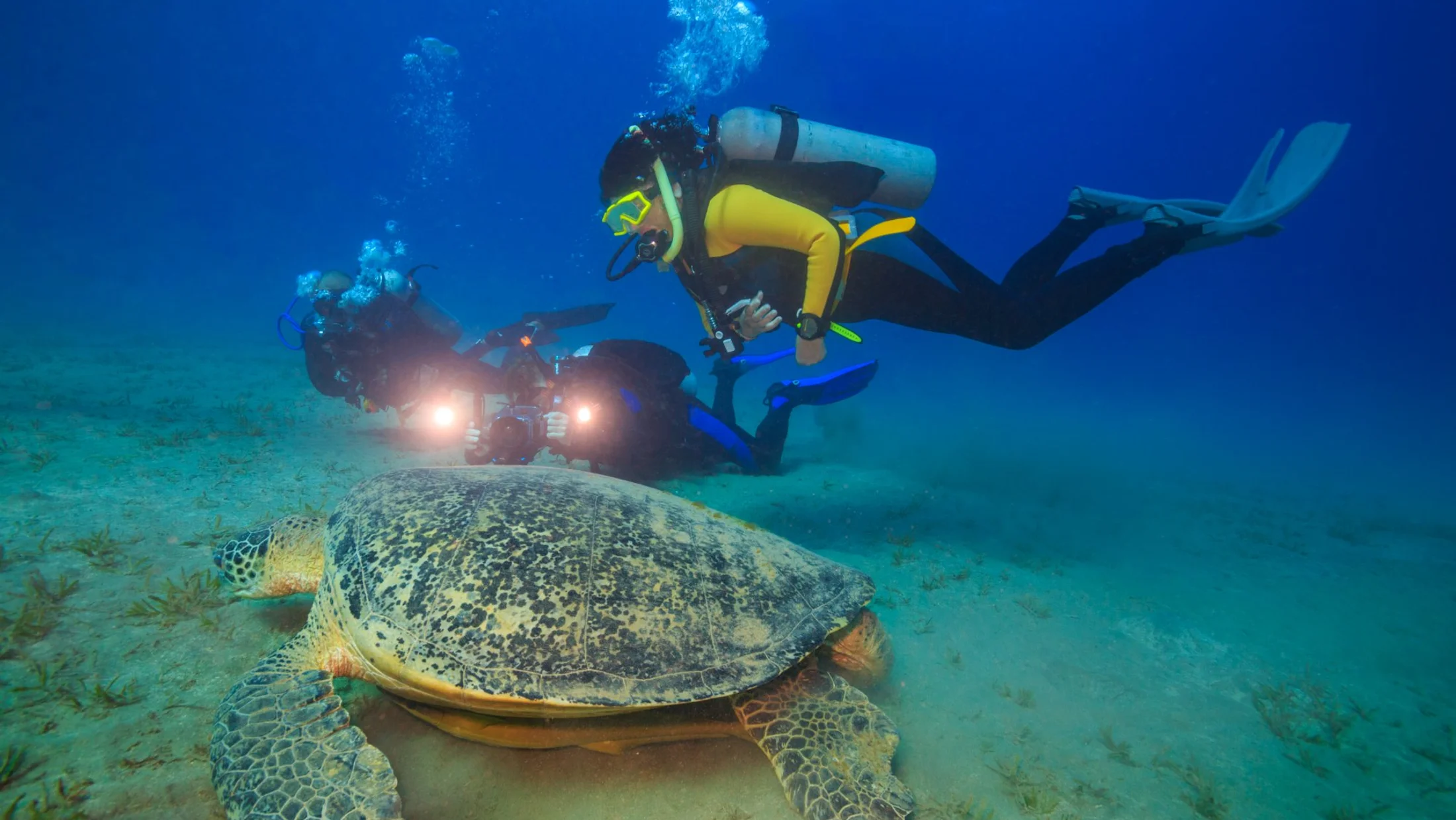 Buceo y Submarinismo