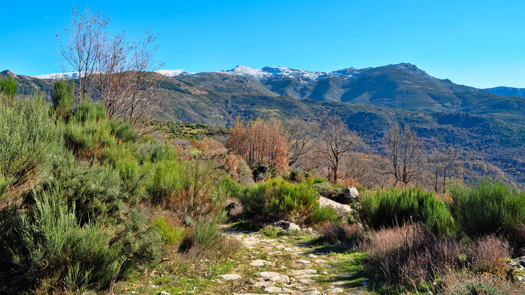 File:Valle del Ambroz (15774129598).jpg