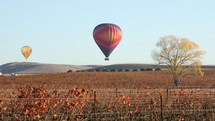 Vuelo en globo para dos en La Rioja