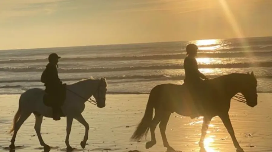 Ruta a caballo privada en Chiclana
