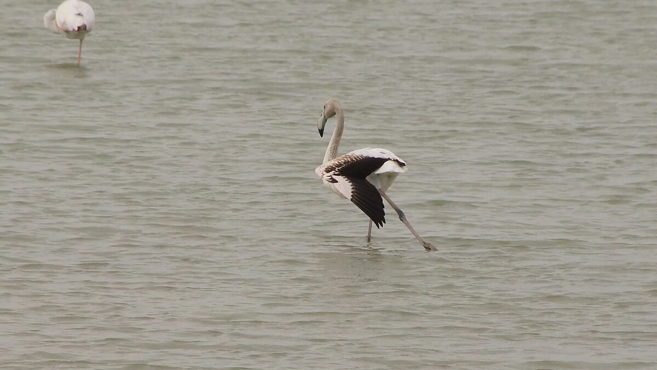 Imagen de Región: cmnnp688s01bpekbe9korjqb9