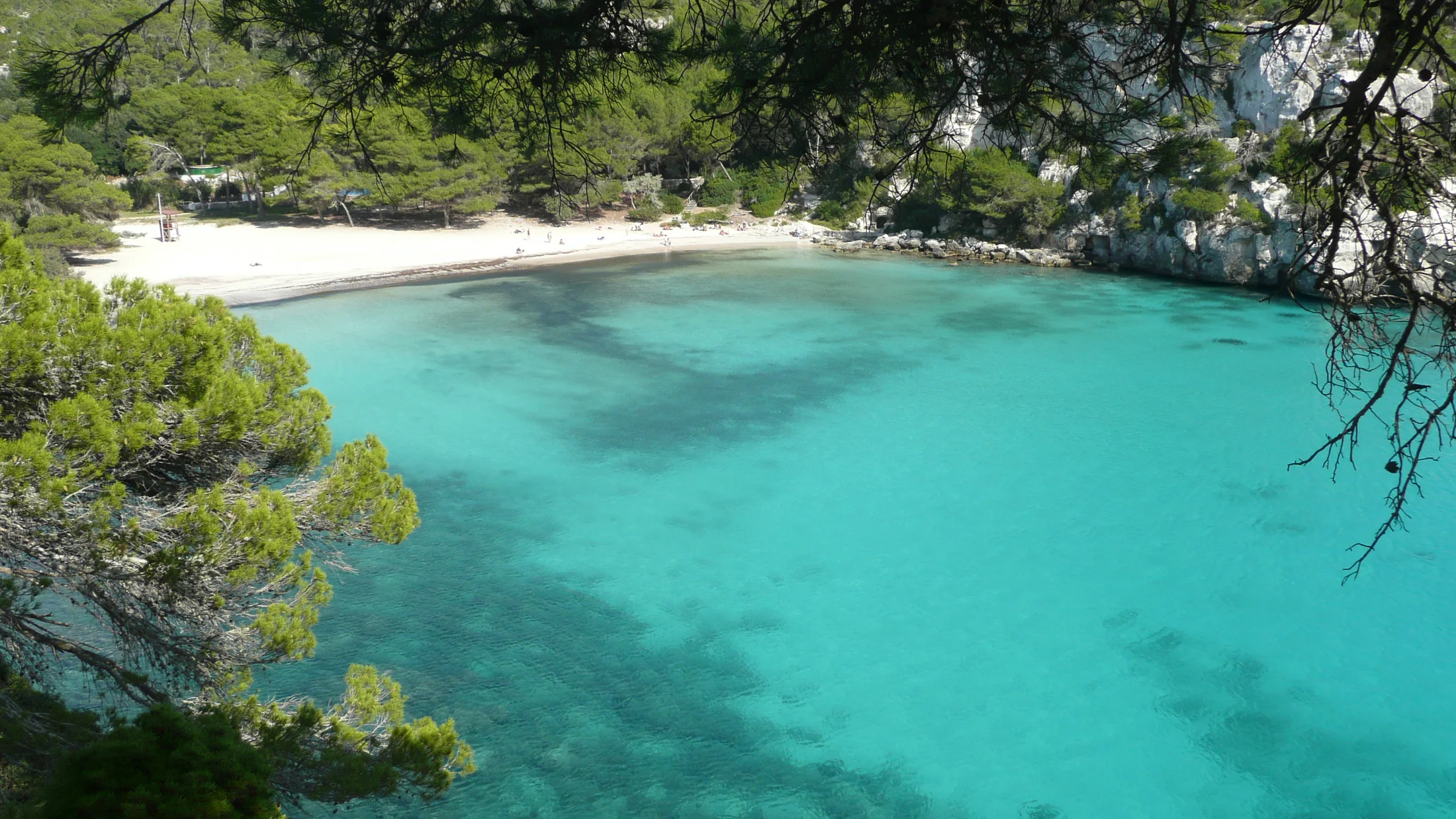 Imagen de Región: cmnxjwu29003sgczor8ddr83r