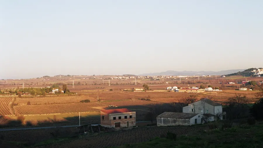 Wine and Cultural Escape in the Penedès