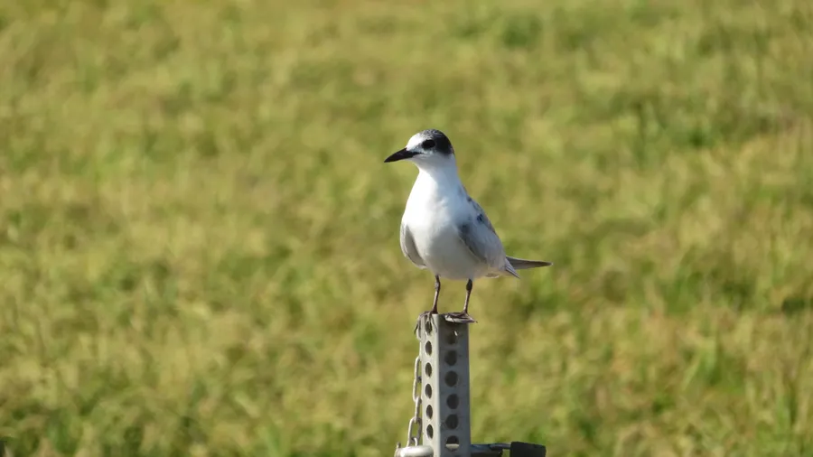 Imagen de Región: cmcja7bf4002iphyjjt0exht4