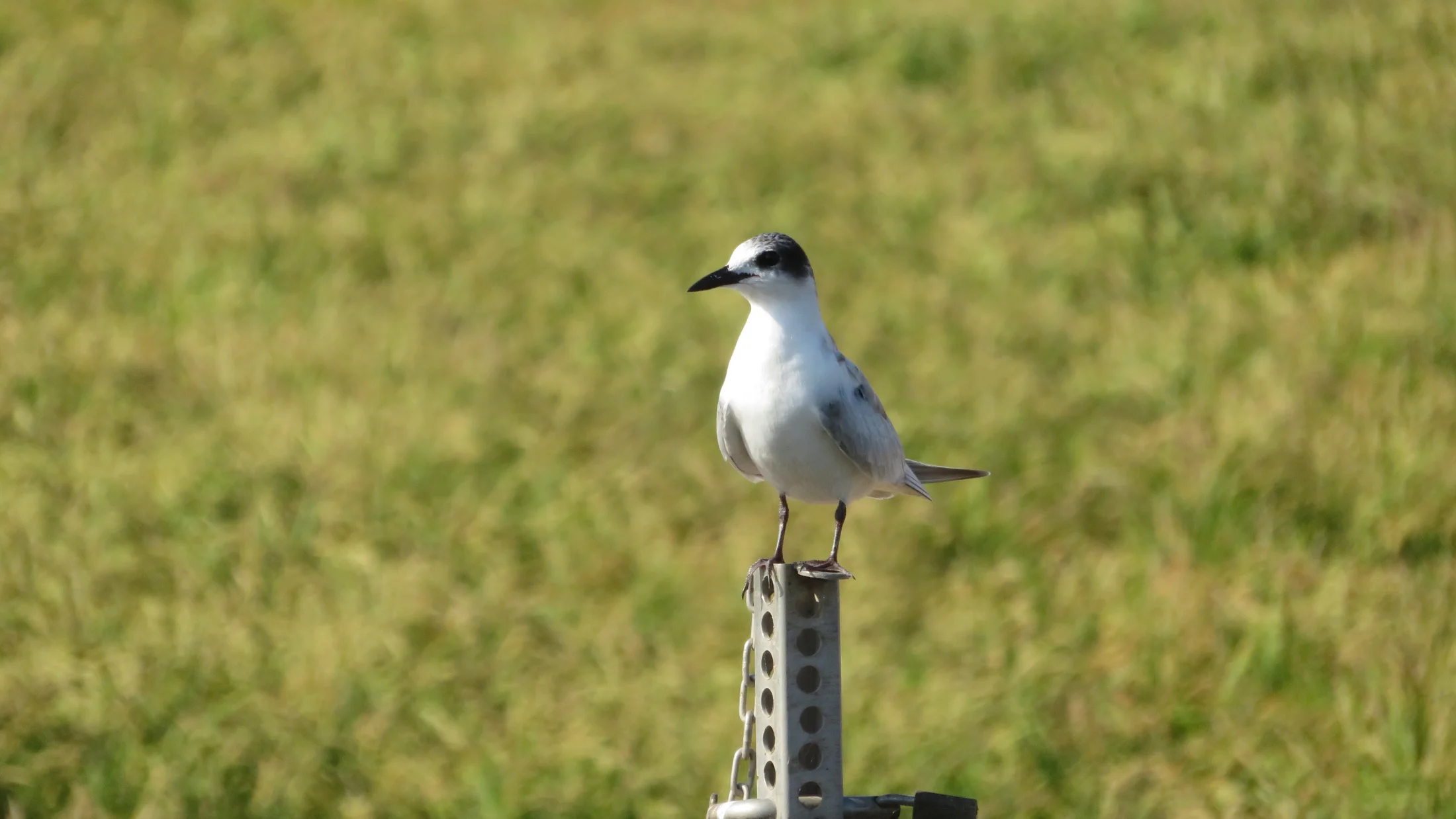 Imagen de Región: cmcja7bf4002iphyjjt0exht4