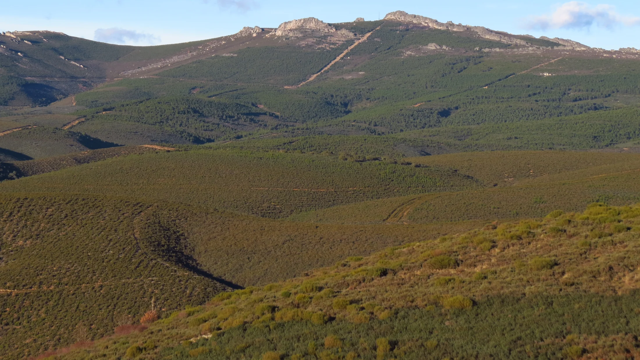 Imagen de Región: cmcnc9hw30hi5zr5pen7cmzdu