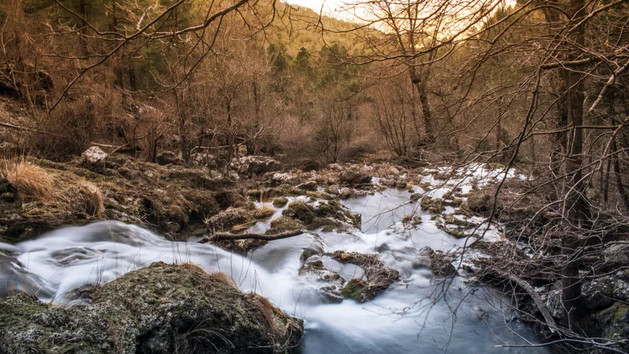 Imagen de Atracción: cmltp0ffl08q9u9ac7qtlysys