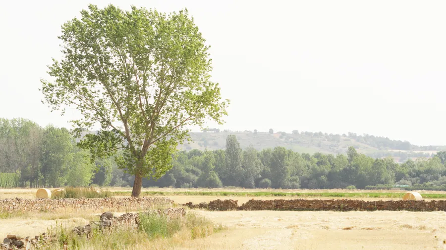 Imagen de Artículo de Blog: Cómo planificar una escapada rural: guía completa paso a paso