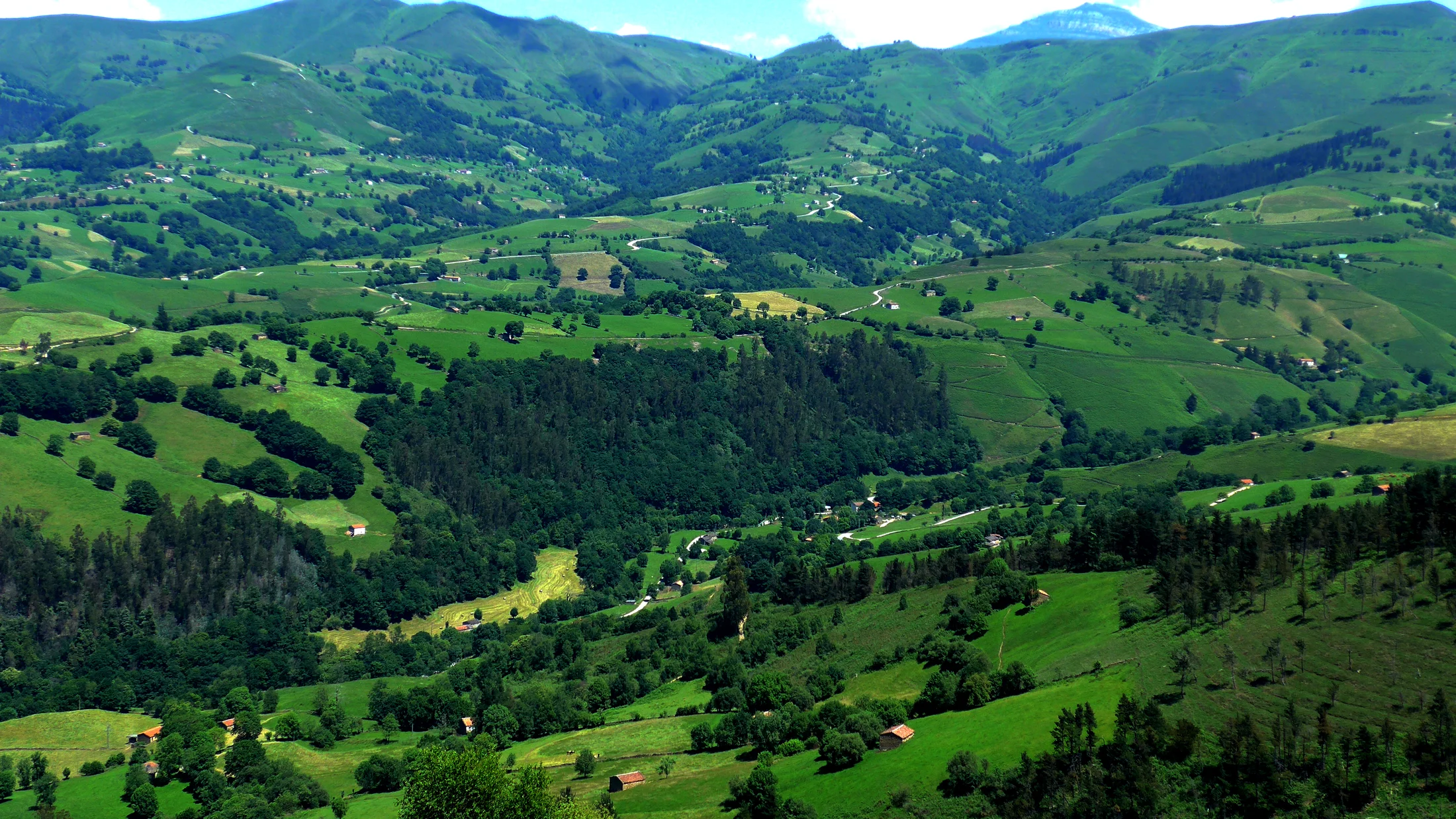 Imagen de Región: cmcncpysv0hxjzr5pt6k62um5