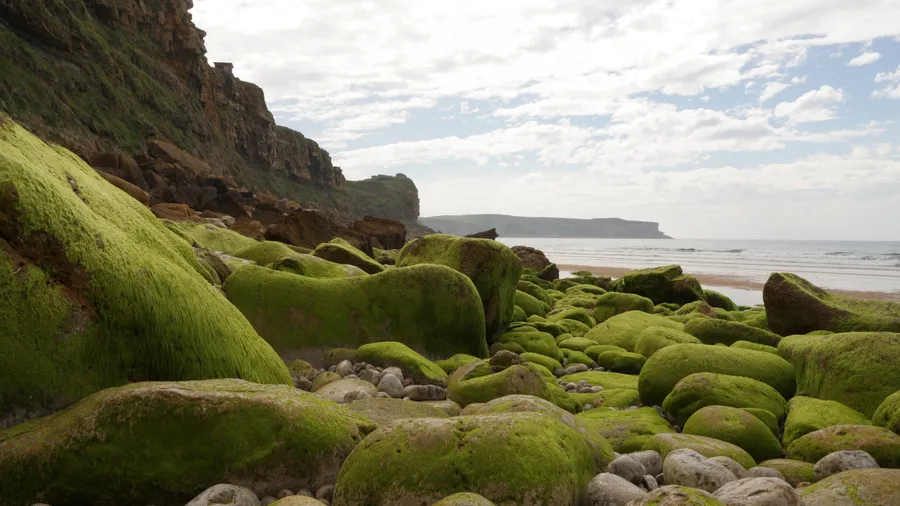 Surf Camp Suances · Eco-domes, yurt and slow food at Los Locos