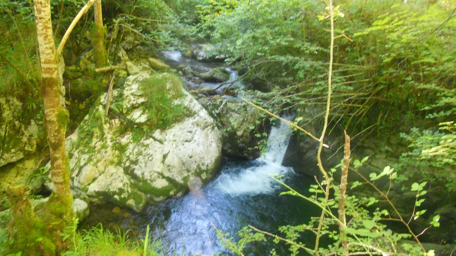 Imagen de Artículo de Blog: Ruta del Alba en Asturias: cascada, pozas y cómo llegar desde Soto de Agües