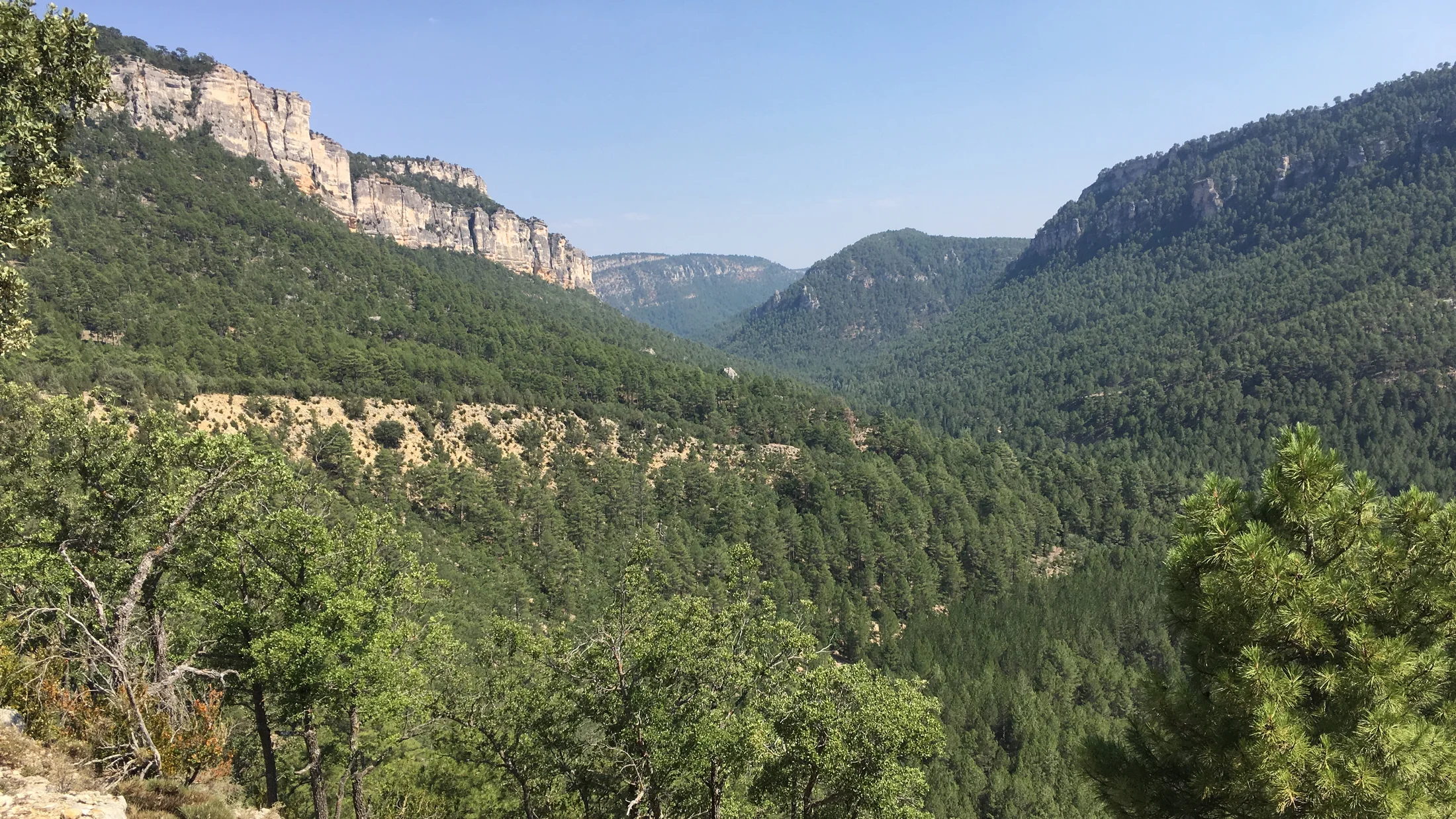 Imagen de Región: cmlexwjy705m4oud4jffu4wpj