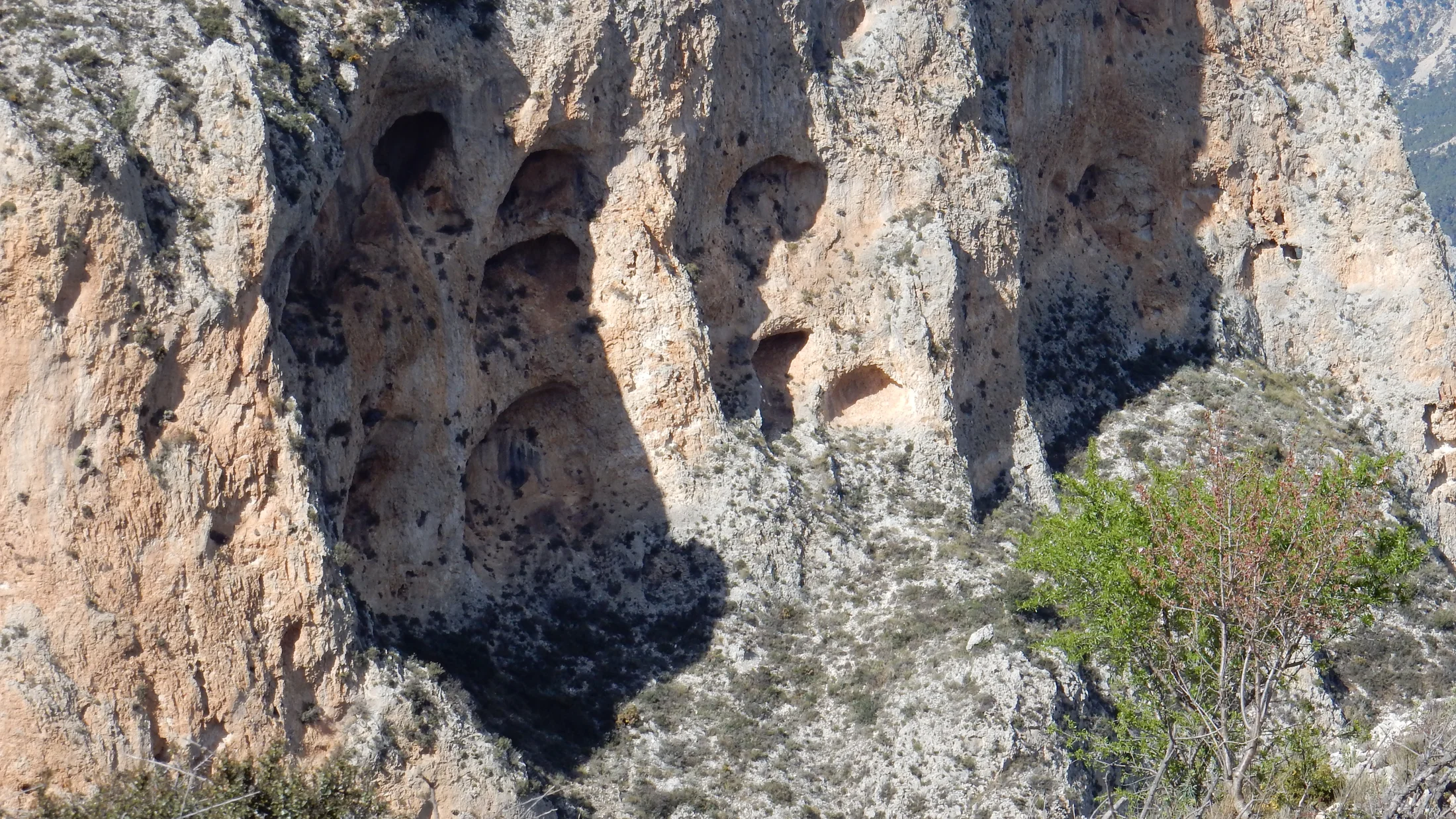 Imagen de Región: cmcjddg10009tik8pfqg78ujo