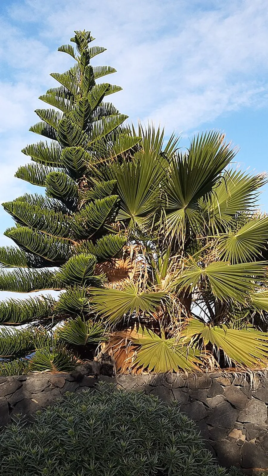 Charco Azul La Palma