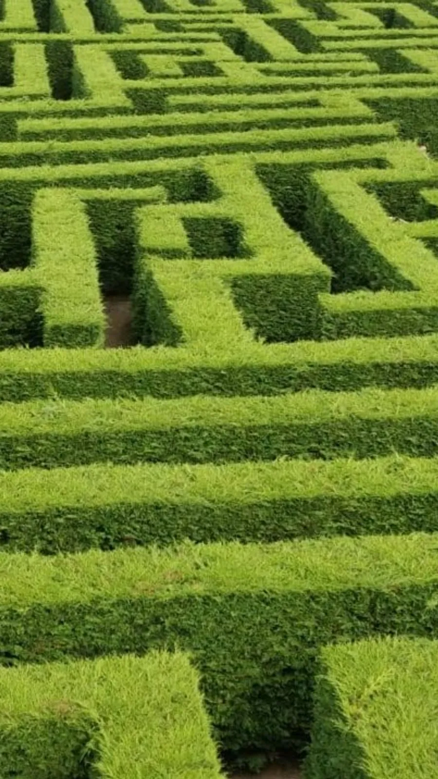 Laberinto de Villapresente