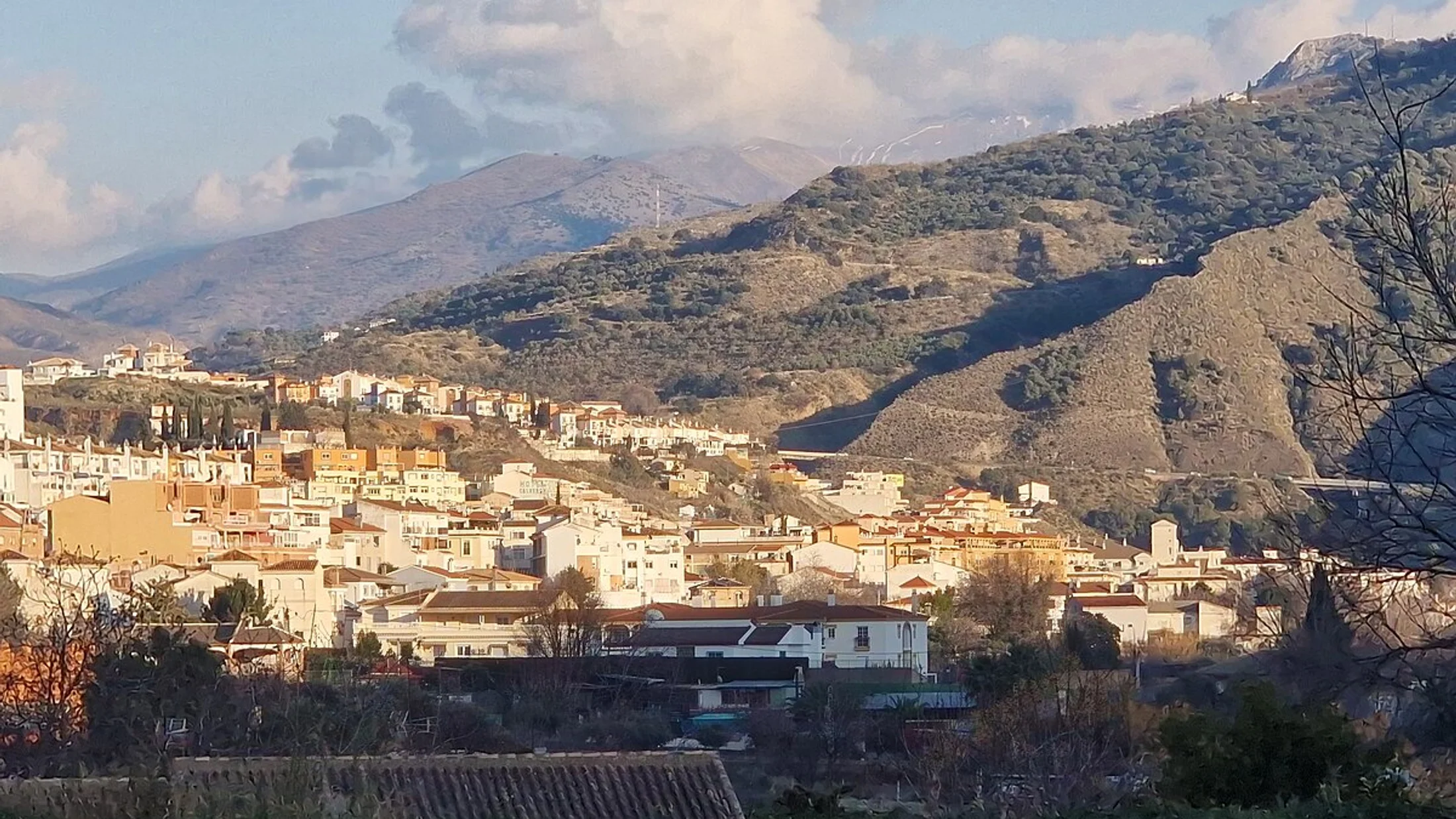 Cenes de la Vega