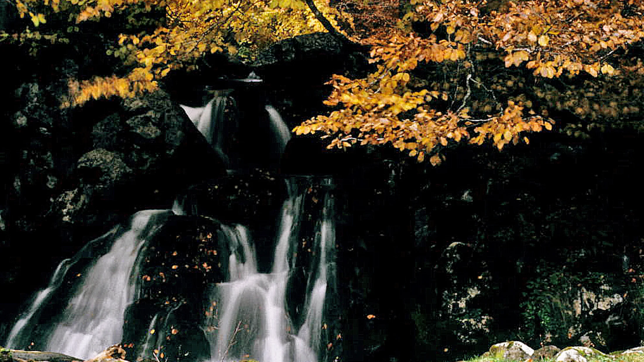 Imagen de Región: cmcjdd34y0051ik8pzeqd9f1t