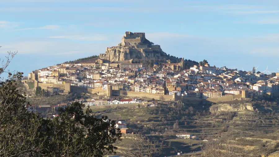 Morella