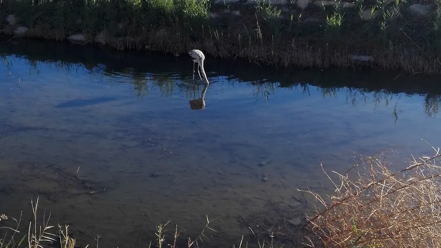 Salinas de San Pedro del Pinatar