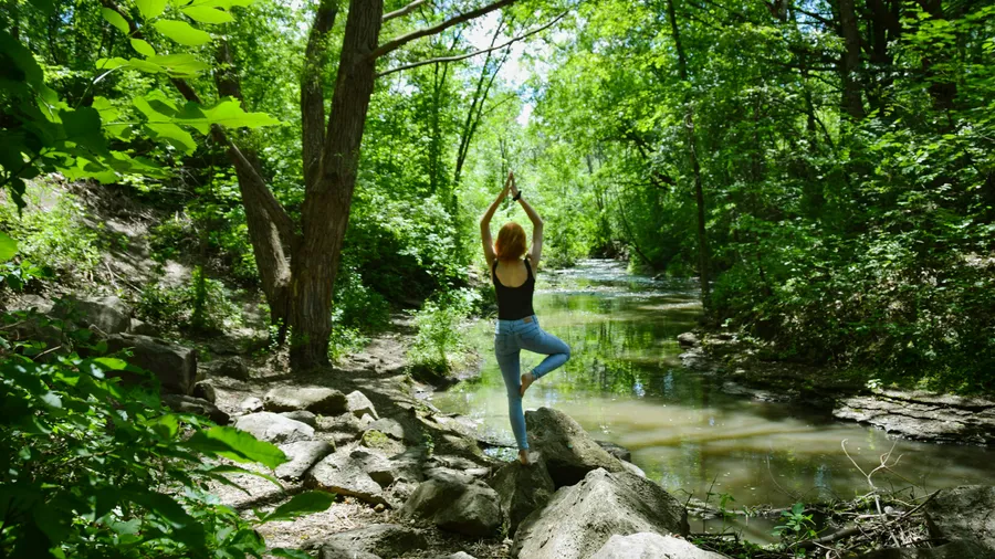 Nature and Well-being