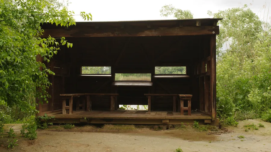 Observatorio de aves en el Parque Regional del Sureste, Madrid, mostrando un paisaje natural ideal para la observación de aves.