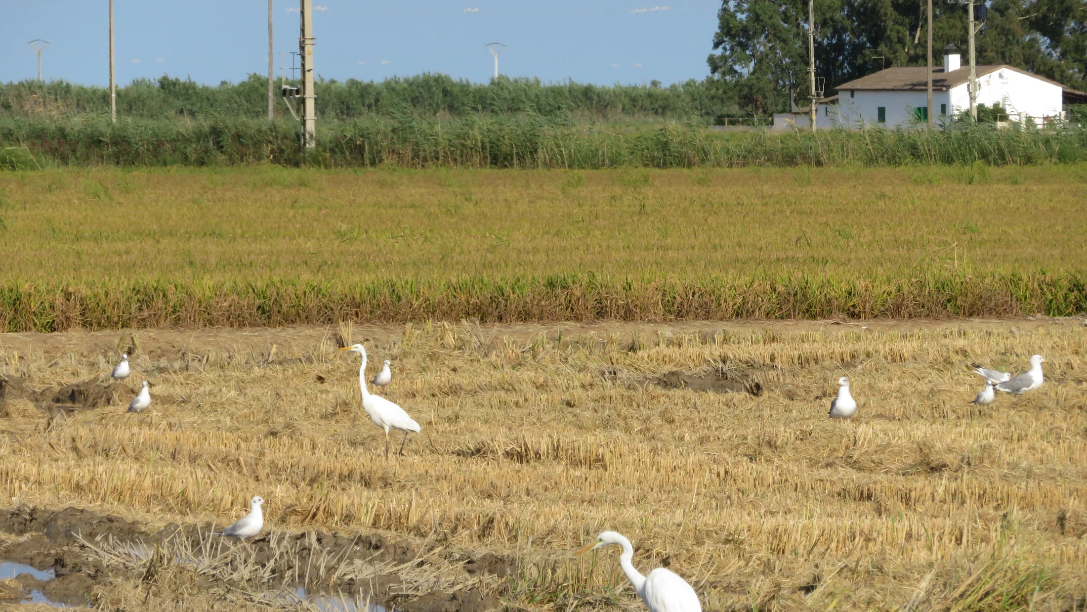 Imagen de Región: cmcja7bf4002iphyjjt0exht4