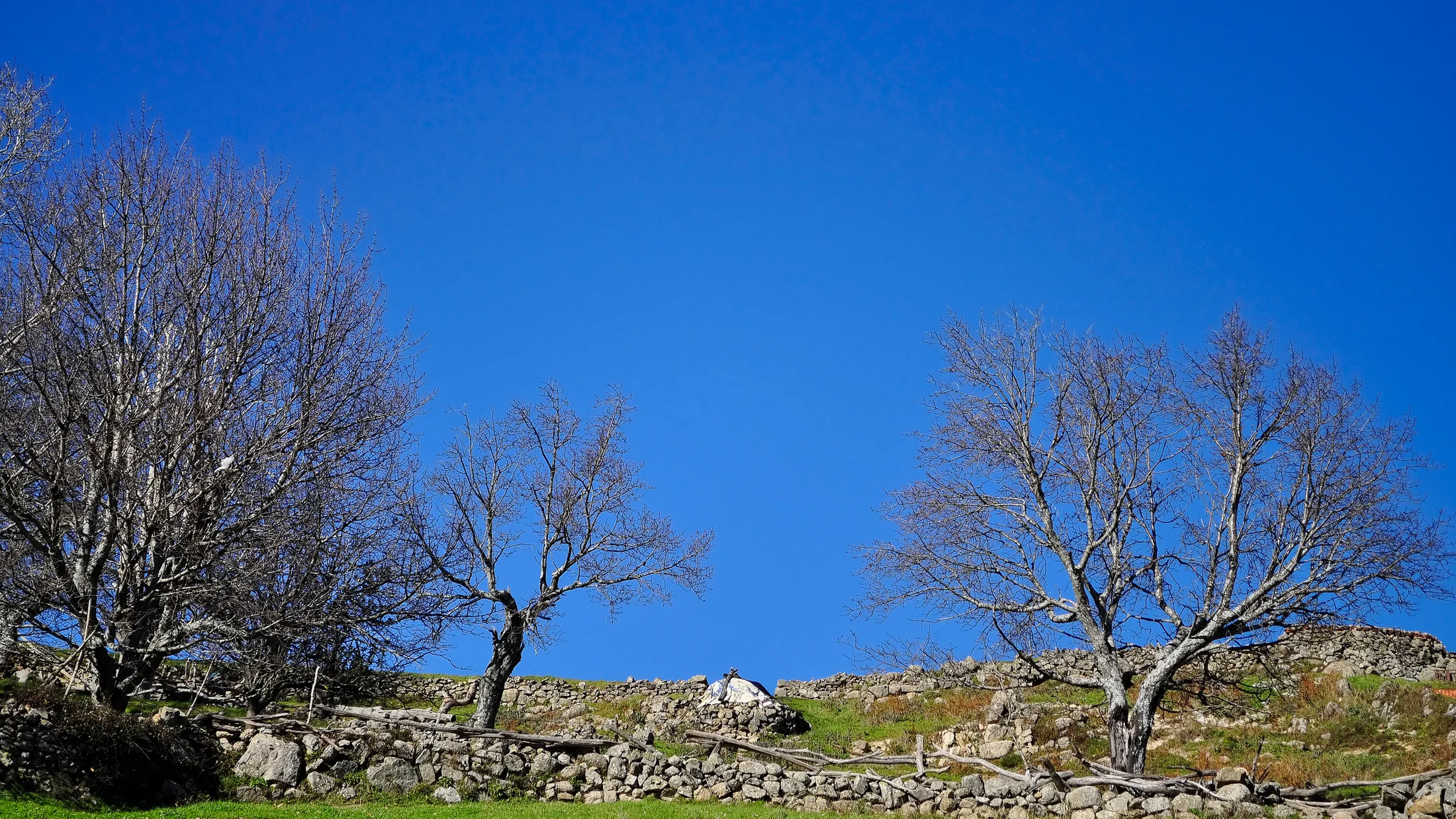 File:Valle del Ambroz (15339250764).jpg