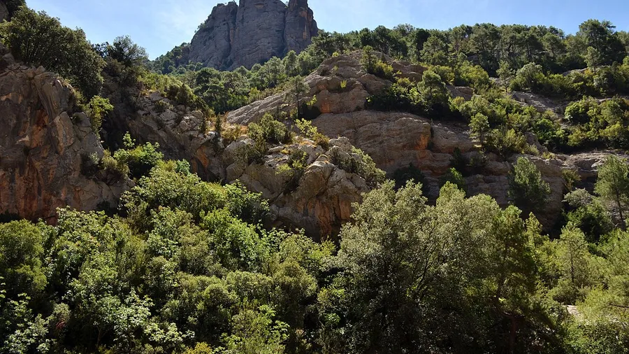 Congost de Collegats