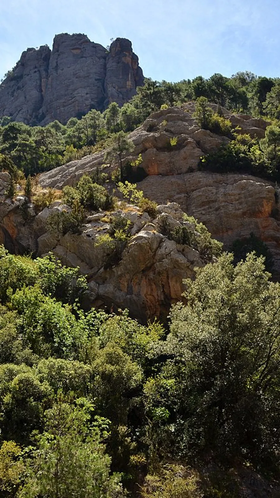 Congost de Collegats