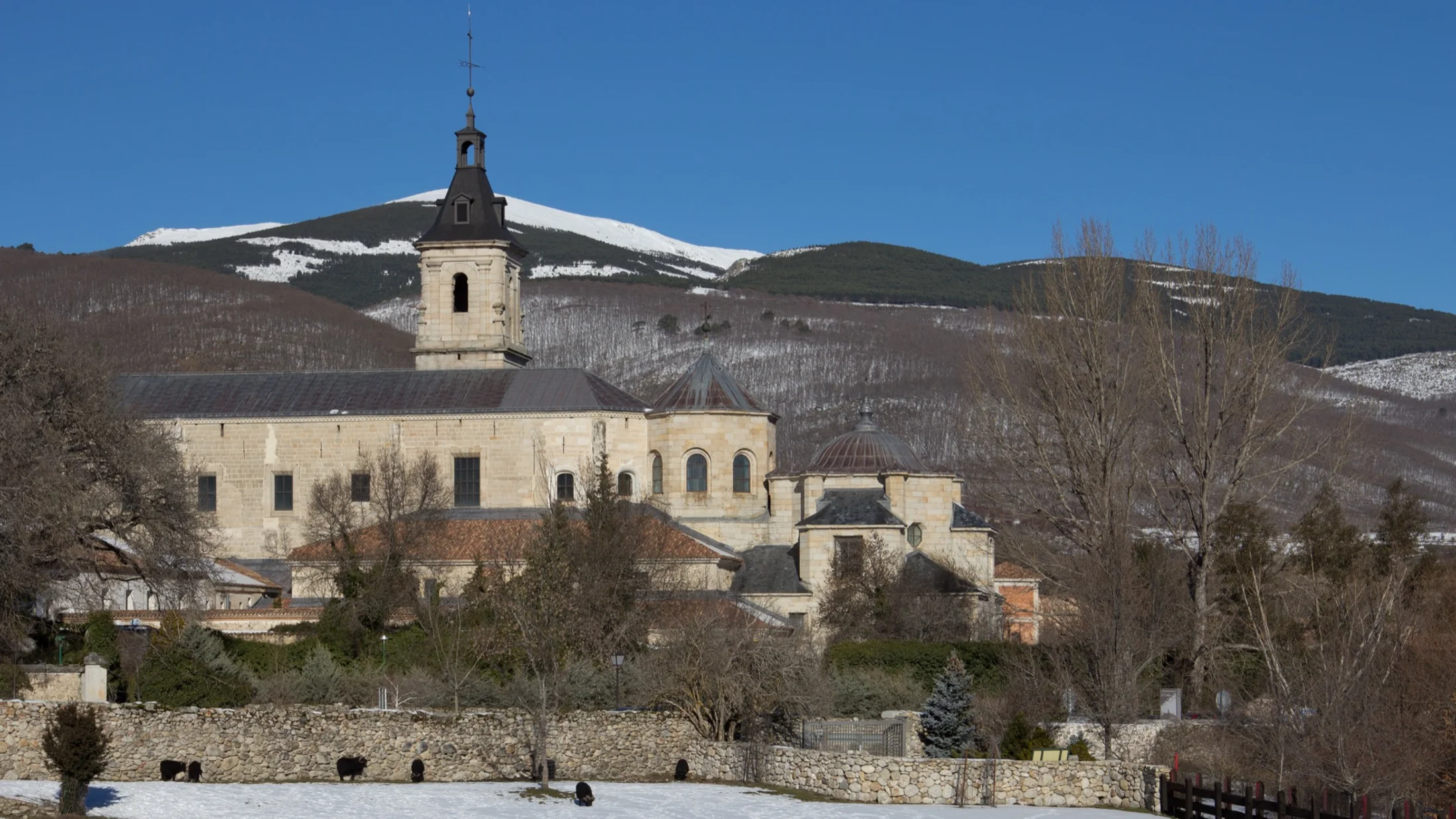 Imagen de Artículo de Blog: cmh3nlqrr006r12svke504fln