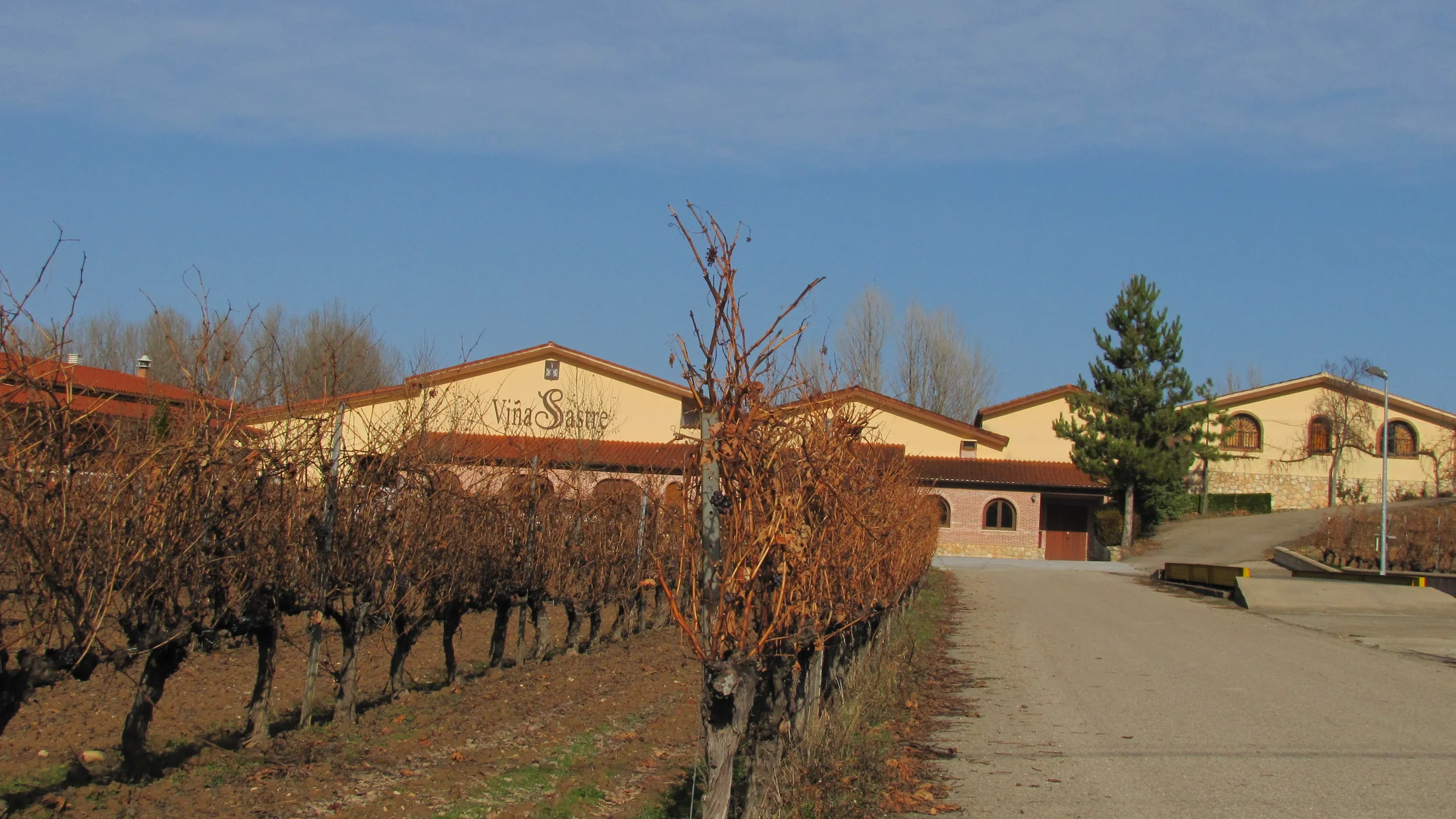 File:Viñedos Bodega Viña Sastre   Hermanos Sastre Ribera del Duero4.JPG