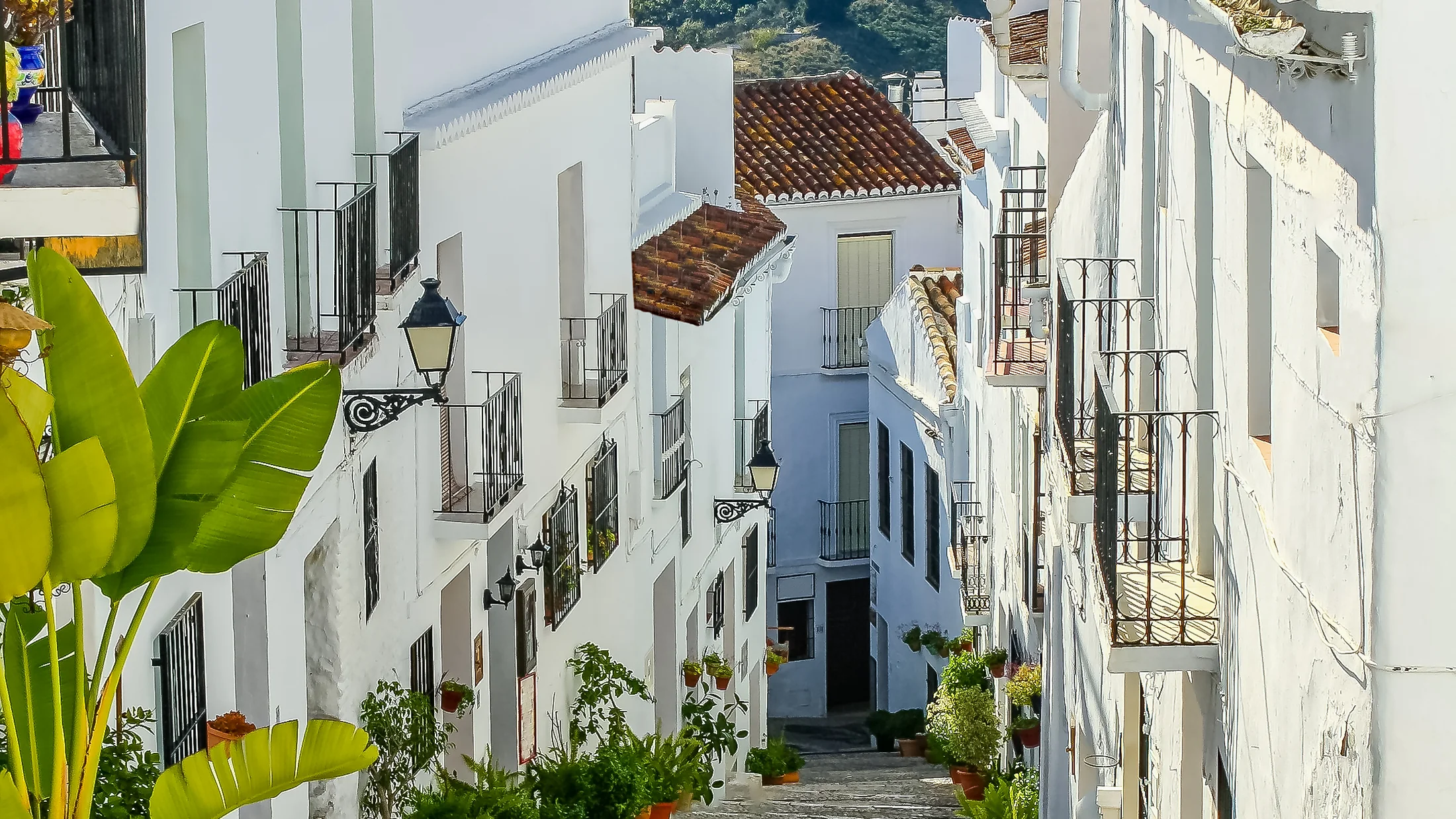 Imagen de Artículo de Blog: cmgz6fcqz005d9i0udw4c83ae