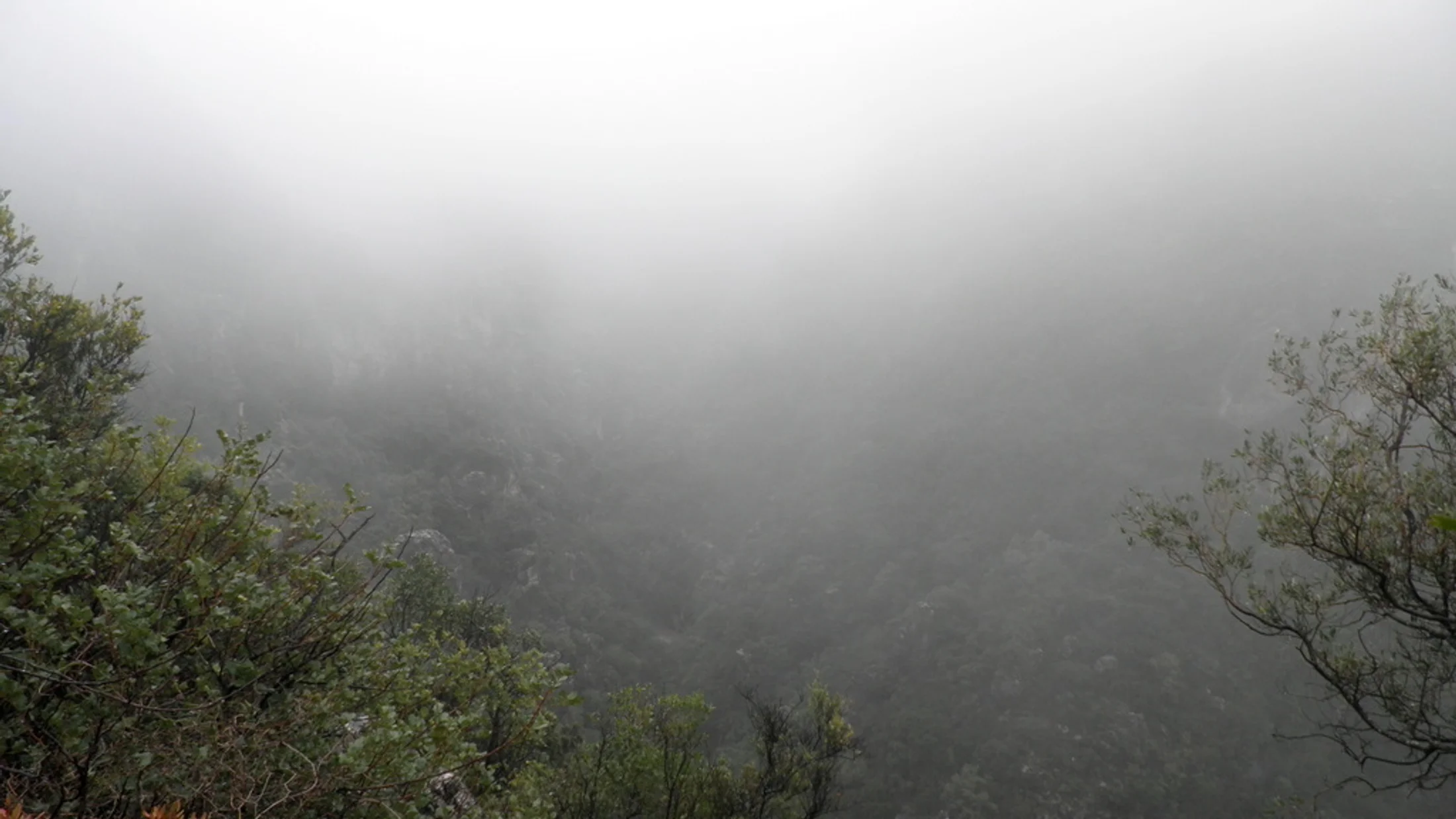 File:Garganta Verde (4490541751).jpg