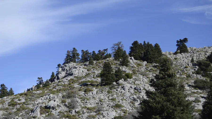 Sierra de las Nieves