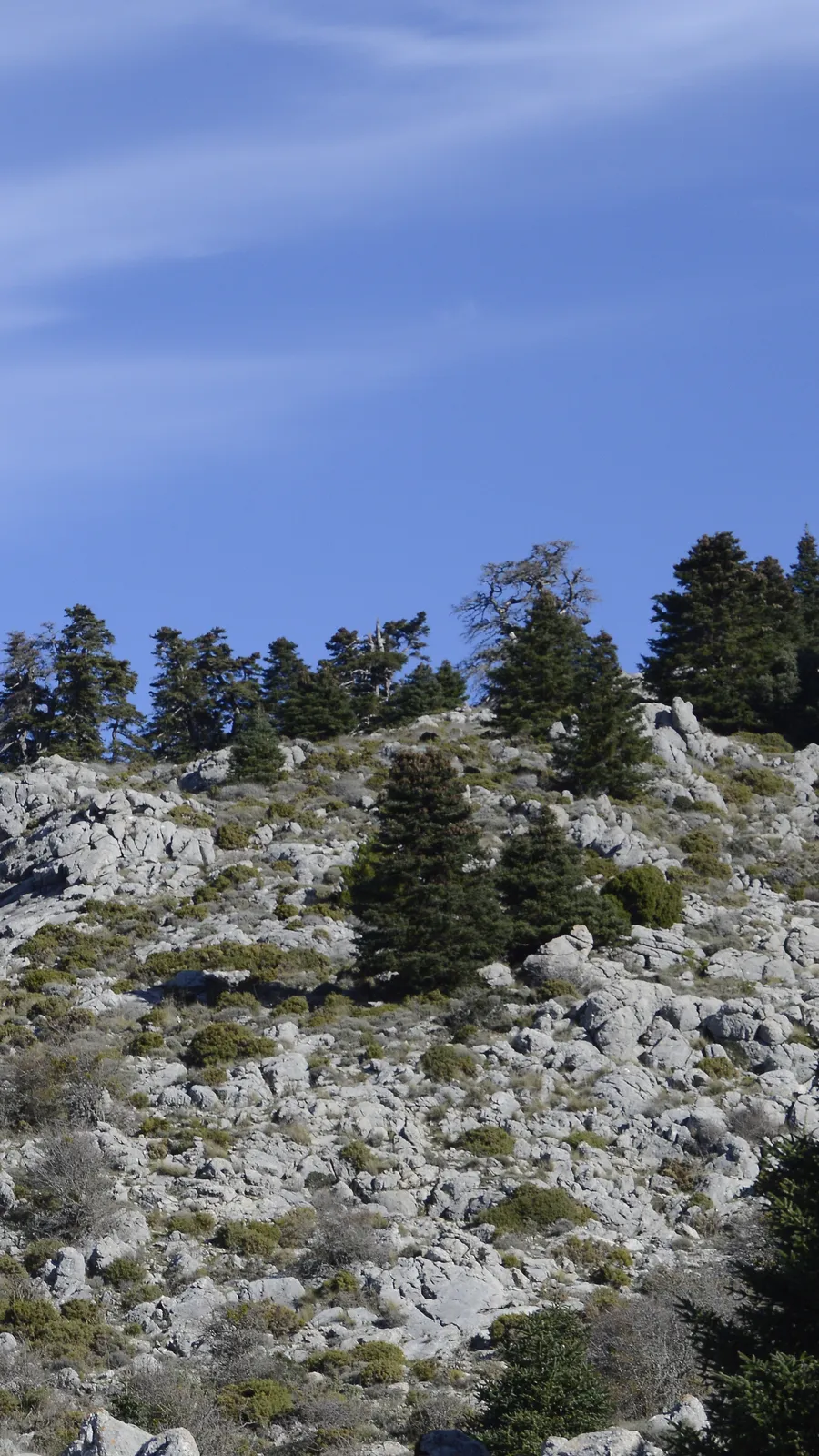 Sierra de las Nieves