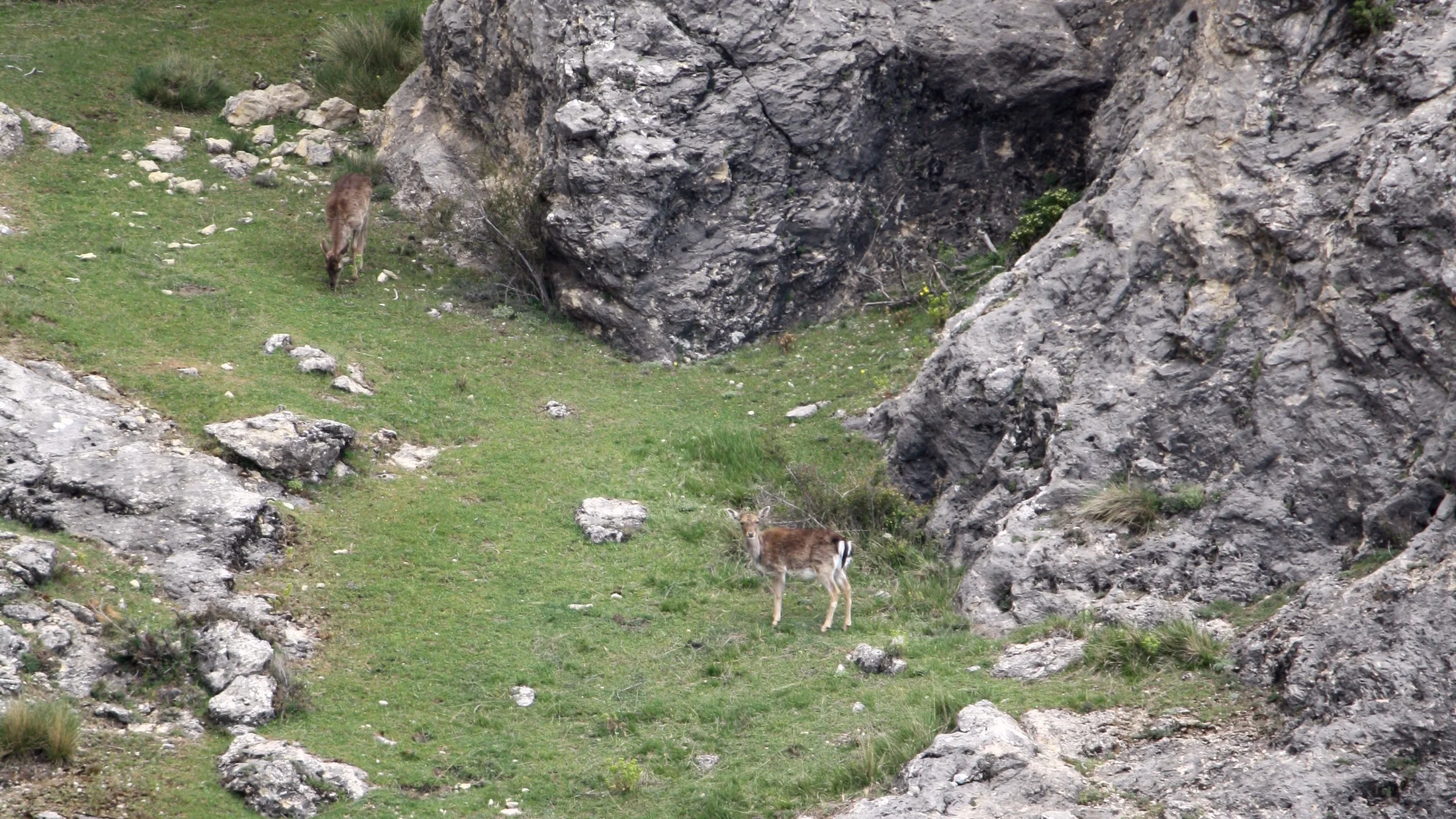 File:Parque natural de las Sierras de Cazorla, Segura y Las Villas 19.jpg