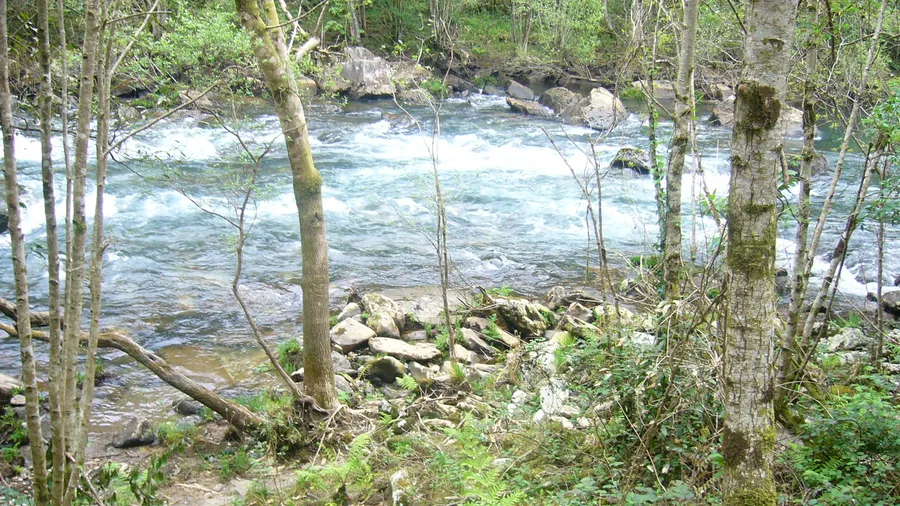 Imagen de Artículo de Blog: Fragas do Eume by kayak and foot: the Atlantic forest few know