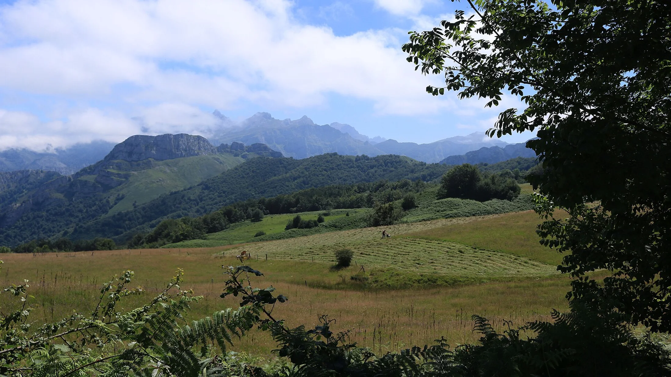 Valles y cumbres del Parque Natural de Ponga