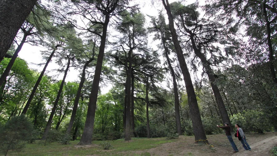 Imagen de Atracción: cmltp0t13098xu9acq5ojg77q